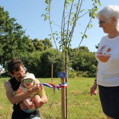 l-arbre-d-elie-ne-le-26-juin-2022-photo-jsl-philippe-tartar-1687606990