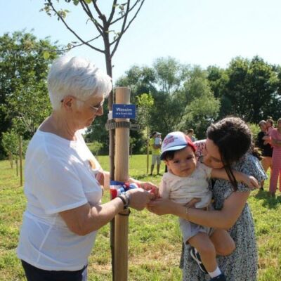 l-arbre-de-wassim-ne-le-10-avril-2022-photo-jsl-philippe-tartar-1687606990