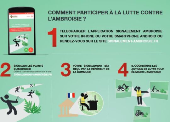téléchargement (4)