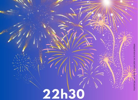 feu artifice 2025 (7)_page-0001