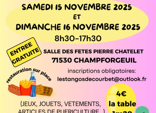 Bourse aux jouets APE Courbet 15 et 16.11.25