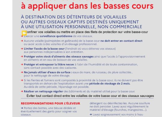 Fiche_biosécurité_basses_cours_page-0001