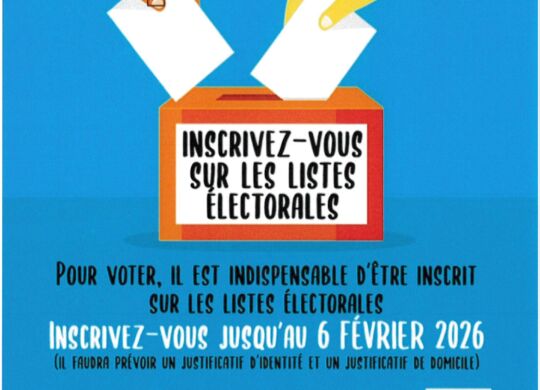 Vérifier sa situation électorale